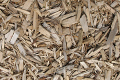 biomass boilers Brynllywarch
